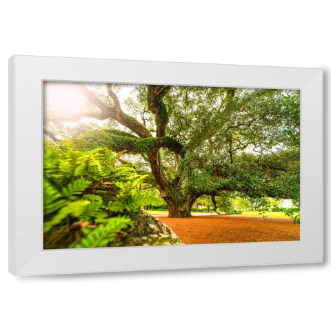 Big Oak 9 White Modern Wood Framed Art Print by Malone, Will