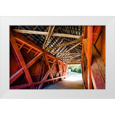 Campbells Covered 2 White Modern Wood Framed Art Print by Malone, Will