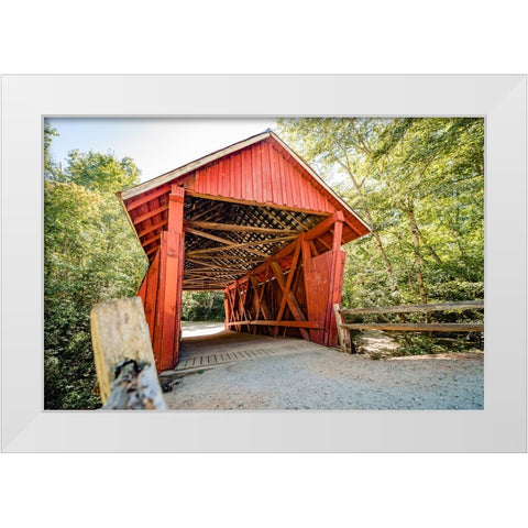 Campbells Covered 3 White Modern Wood Framed Art Print by Malone, Will