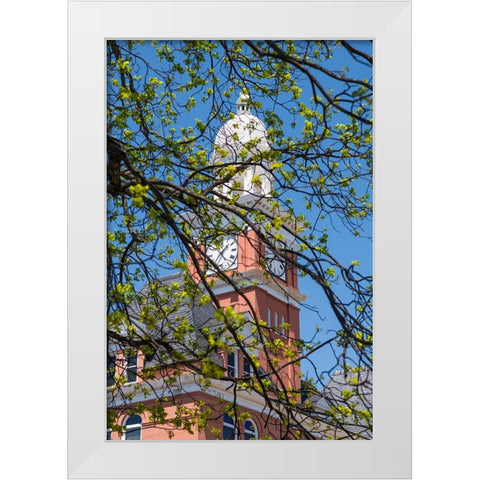 Covered White Modern Wood Framed Art Print by Malone, Will