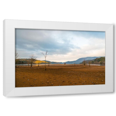 Dried Out 2 White Modern Wood Framed Art Print by Malone, Will