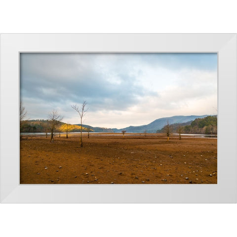 Dried Out 2 White Modern Wood Framed Art Print by Malone, Will