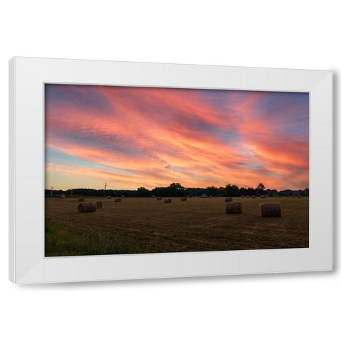 Hay Bail Sky White Modern Wood Framed Art Print by Malone, Will