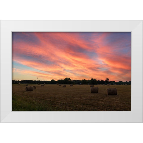 Hay Bail Sky White Modern Wood Framed Art Print by Malone, Will