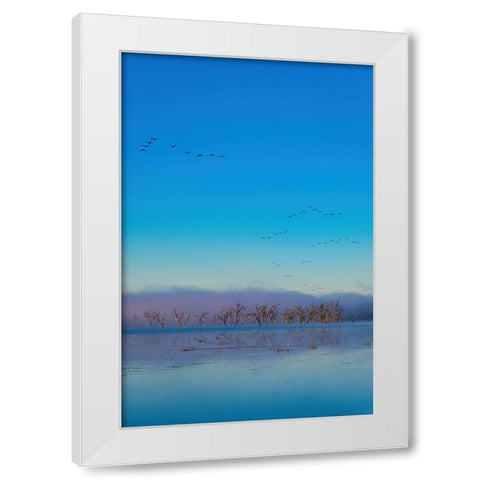 Tired Creek Fog White Modern Wood Framed Art Print by Malone, Will