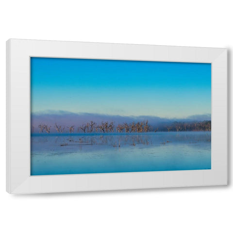 Tired Creek Morning 2 White Modern Wood Framed Art Print by Malone, Will
