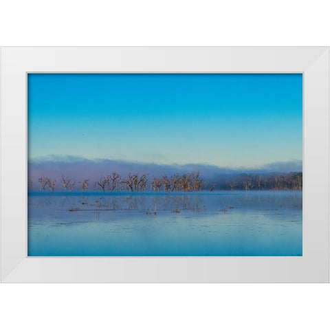 Tired Creek Morning 2 White Modern Wood Framed Art Print by Malone, Will