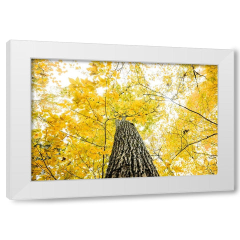 Yellow 2B White Modern Wood Framed Art Print by Malone, Will