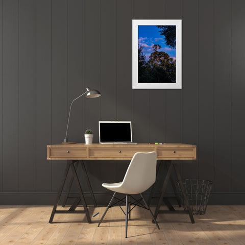 Tree Spotlight 2 White Modern Wood Framed Art Print by Malone, Will