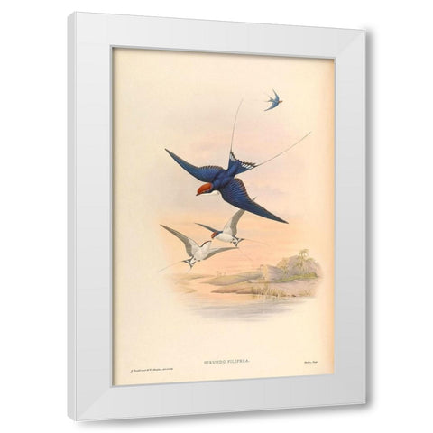 Hirundo Filifera White Modern Wood Framed Art Print by CAG