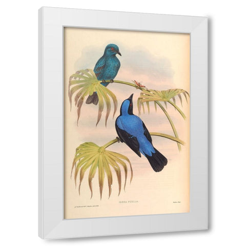 Irena Puella White Modern Wood Framed Art Print by CAG