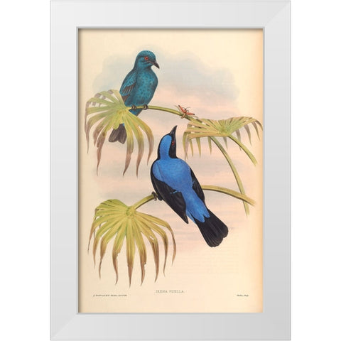 Irena Puella White Modern Wood Framed Art Print by CAG