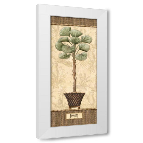 Botanical Palm I White Modern Wood Framed Art Print by Audrey, Charlene