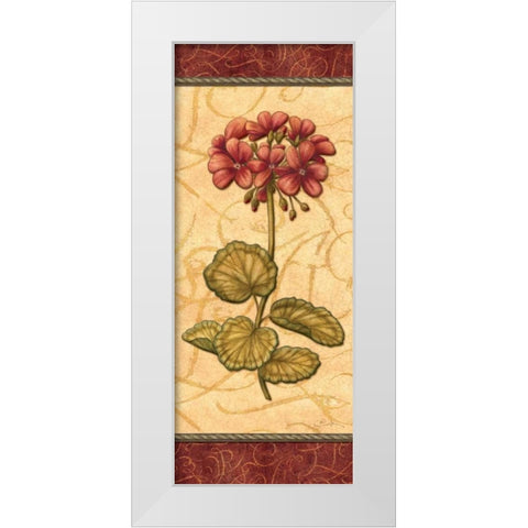 Red Passion Geranium White Modern Wood Framed Art Print by Audrey, Charlene