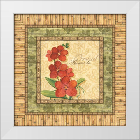 Bright Orchids I White Modern Wood Framed Art Print by Audrey, Charlene