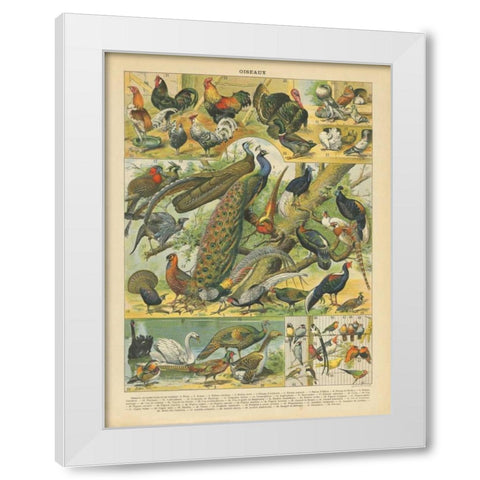 Oiseaux I White Modern Wood Framed Art Print by Babbitt, Gwendolyn