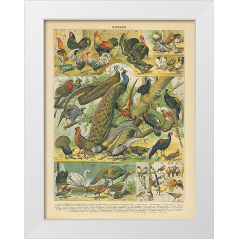 Oiseaux I White Modern Wood Framed Art Print by Babbitt, Gwendolyn