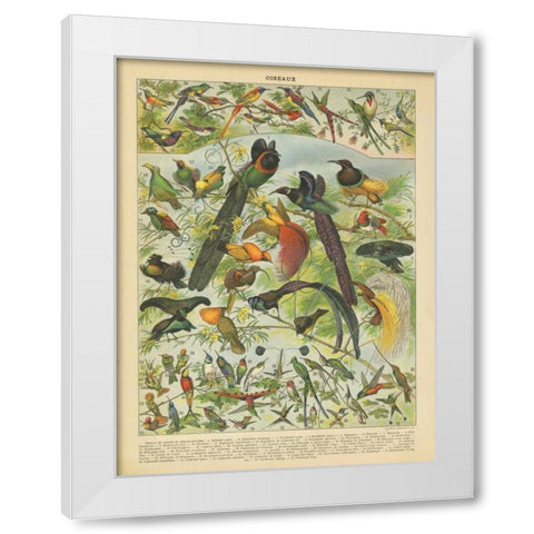 Oiseaux III White Modern Wood Framed Art Print by Babbitt, Gwendolyn