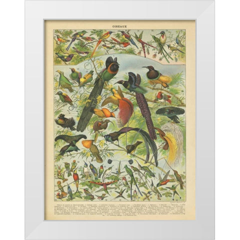 Oiseaux III White Modern Wood Framed Art Print by Babbitt, Gwendolyn
