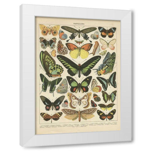 Papillons II White Modern Wood Framed Art Print by Babbitt, Gwendolyn