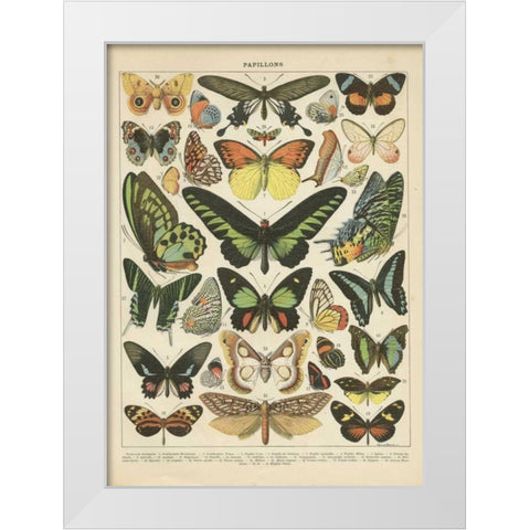Papillons II White Modern Wood Framed Art Print by Babbitt, Gwendolyn