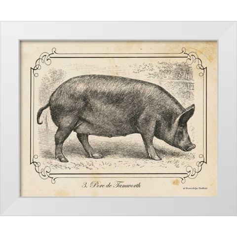 Farm Pig I White Modern Wood Framed Art Print by Babbitt, Gwendolyn