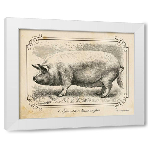 Farm Pig II White Modern Wood Framed Art Print by Babbitt, Gwendolyn