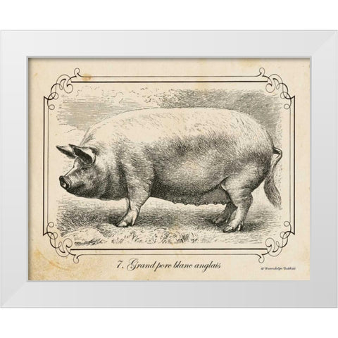 Farm Pig II White Modern Wood Framed Art Print by Babbitt, Gwendolyn