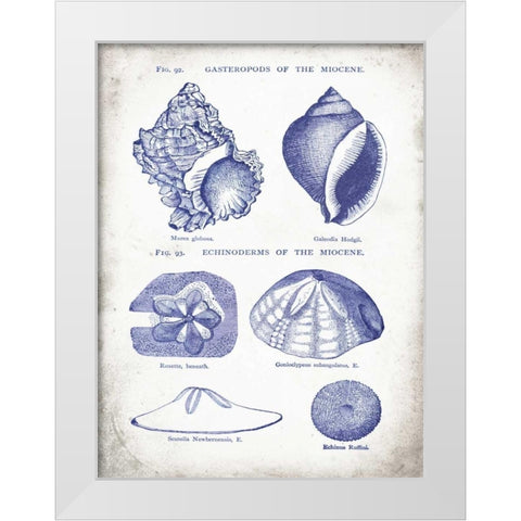 Indigo Shells I White Modern Wood Framed Art Print by Babbitt, Gwendolyn