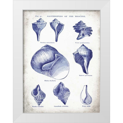 Indigo Shells II White Modern Wood Framed Art Print by Babbitt, Gwendolyn