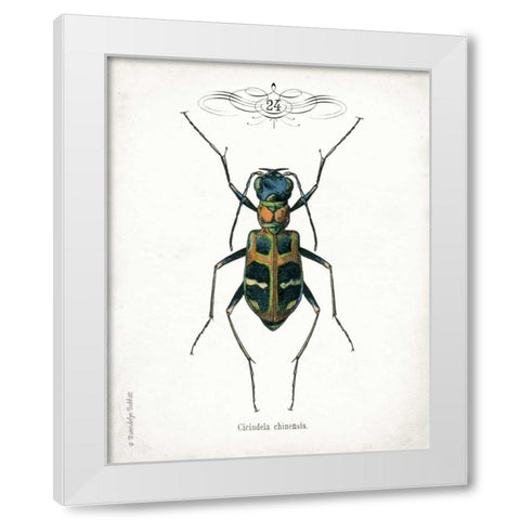 Beetle I White Modern Wood Framed Art Print by Babbitt, Gwendolyn