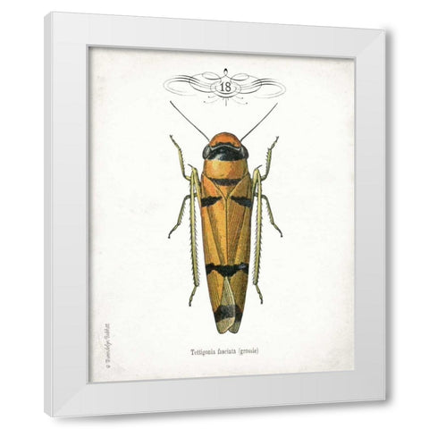 Beetle II White Modern Wood Framed Art Print by Babbitt, Gwendolyn