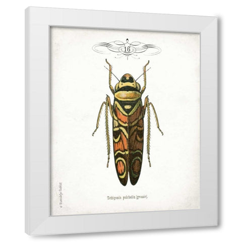 Beetle III White Modern Wood Framed Art Print by Babbitt, Gwendolyn