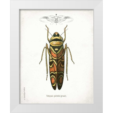Beetle III White Modern Wood Framed Art Print by Babbitt, Gwendolyn