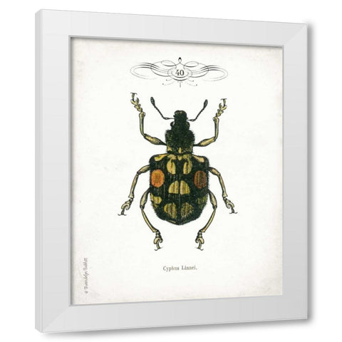 Beetle IV White Modern Wood Framed Art Print by Babbitt, Gwendolyn
