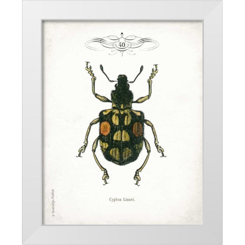 Beetle IV White Modern Wood Framed Art Print by Babbitt, Gwendolyn
