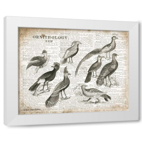 Birds I White Modern Wood Framed Art Print by Babbitt, Gwendolyn