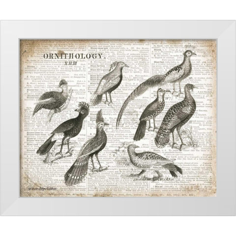 Birds I White Modern Wood Framed Art Print by Babbitt, Gwendolyn