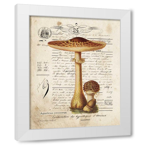 Mushroom I White Modern Wood Framed Art Print by Babbitt, Gwendolyn