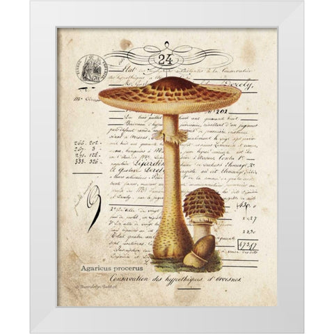 Mushroom I White Modern Wood Framed Art Print by Babbitt, Gwendolyn