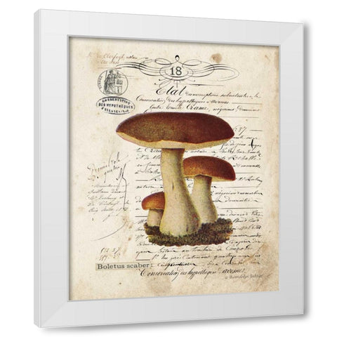 Mushroom II White Modern Wood Framed Art Print by Babbitt, Gwendolyn