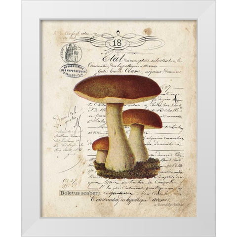 Mushroom II White Modern Wood Framed Art Print by Babbitt, Gwendolyn