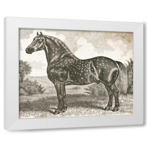 Horse Etching II White Modern Wood Framed Art Print by Babbitt, Gwendolyn