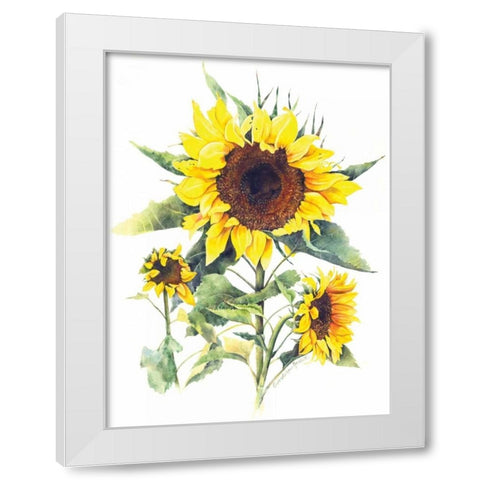Sunflowers White Modern Wood Framed Art Print by Babbitt, Gwendolyn