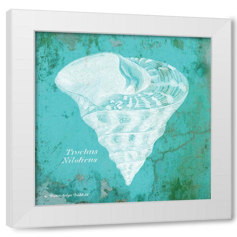 Caribbean Shell I White Modern Wood Framed Art Print by Babbitt, Gwendolyn