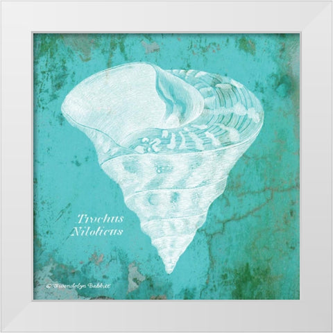 Caribbean Shell I White Modern Wood Framed Art Print by Babbitt, Gwendolyn