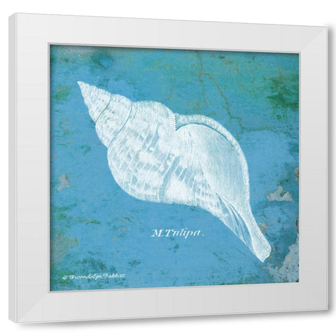 Caribbean Shell II White Modern Wood Framed Art Print by Babbitt, Gwendolyn