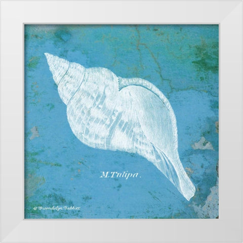 Caribbean Shell II White Modern Wood Framed Art Print by Babbitt, Gwendolyn