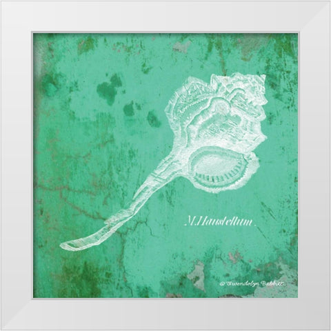 Caribbean Shell III White Modern Wood Framed Art Print by Babbitt, Gwendolyn