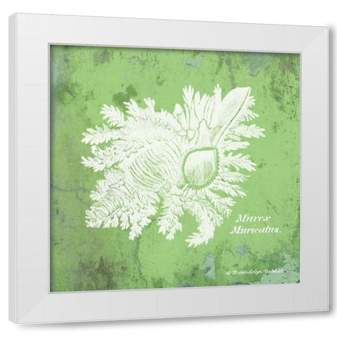 Caribbean Shell IV White Modern Wood Framed Art Print by Babbitt, Gwendolyn